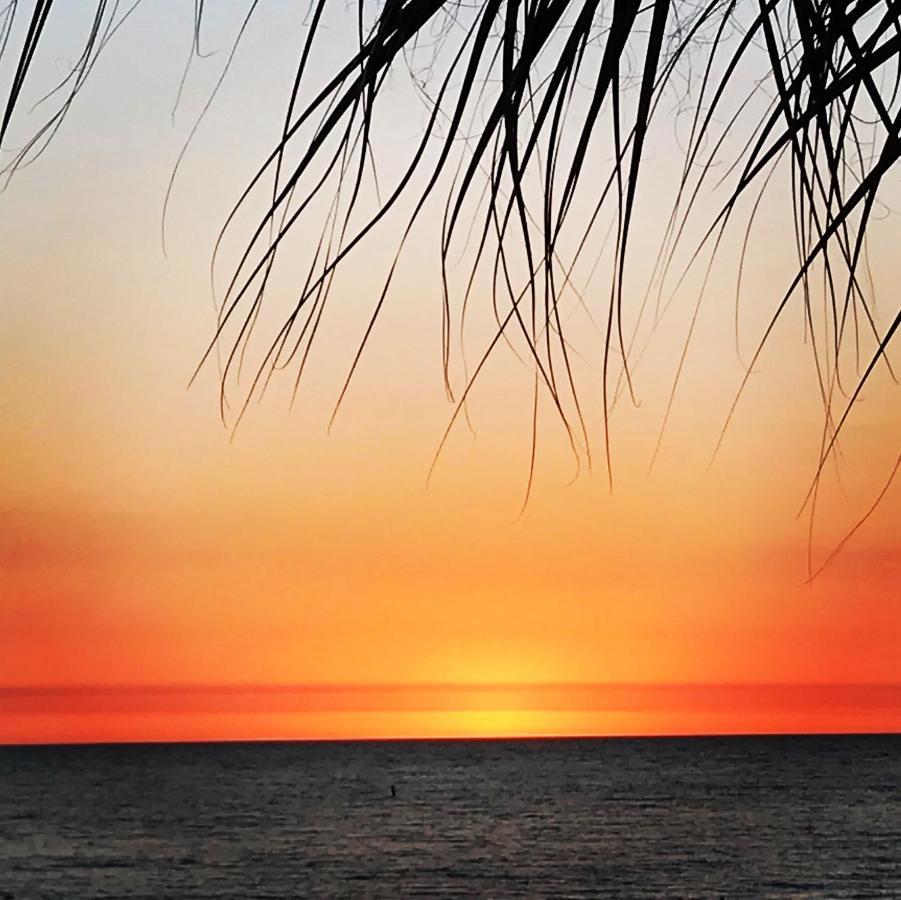 201 Sandy Shores Condos St. Pete Beach Esterno foto